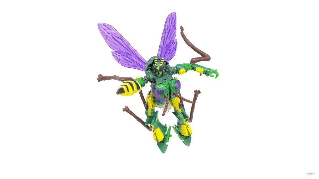 Transformers Kingdom Deluxe Class Waspinator  (7 of 28)